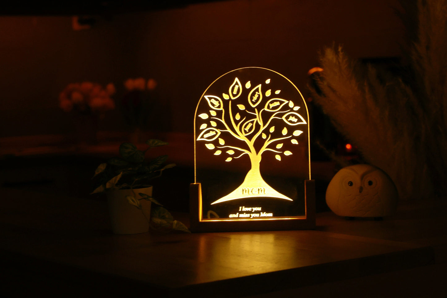 Mom's Christmas Gift, Family Tree Keepsake, Personalized LED Night Light