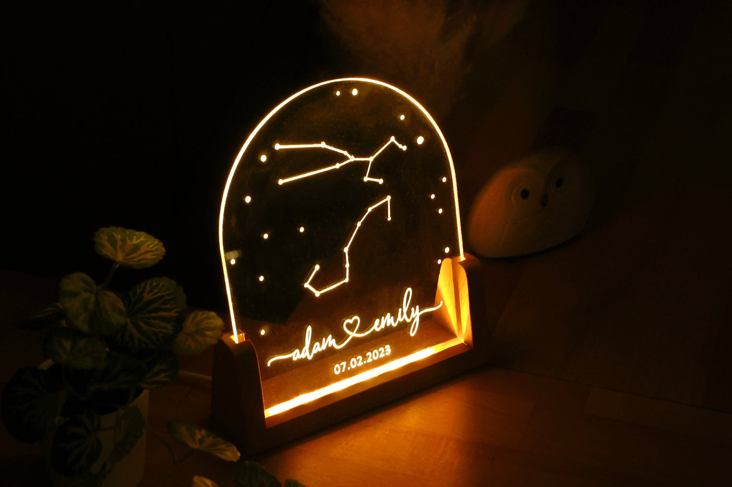 Celestial Zodiac Constellation Night Light