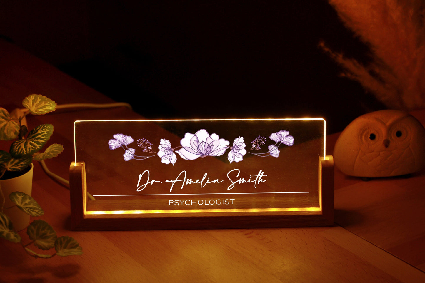 Personalized Doctor Gift - Desk Name Plate Custom